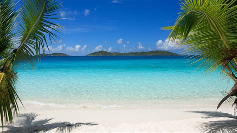 AMAZING BEACH .